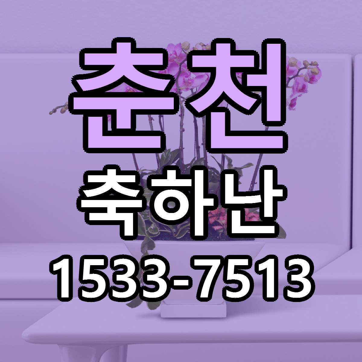 춘천 축하난 근처꽃집 저렴한곳 빠른배송 서비스
