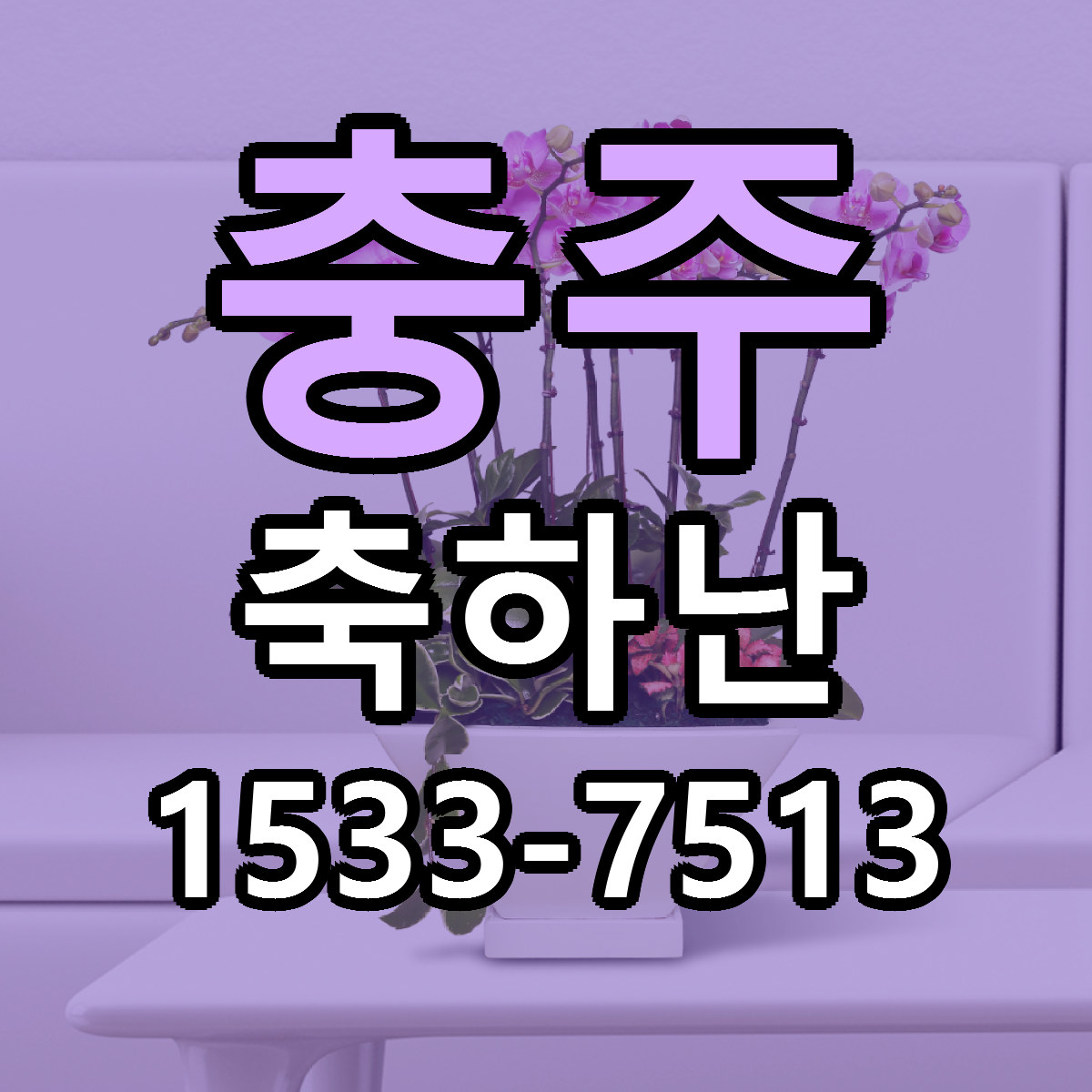 충주 축하난 당일배송 싼곳 리본문구 안내
