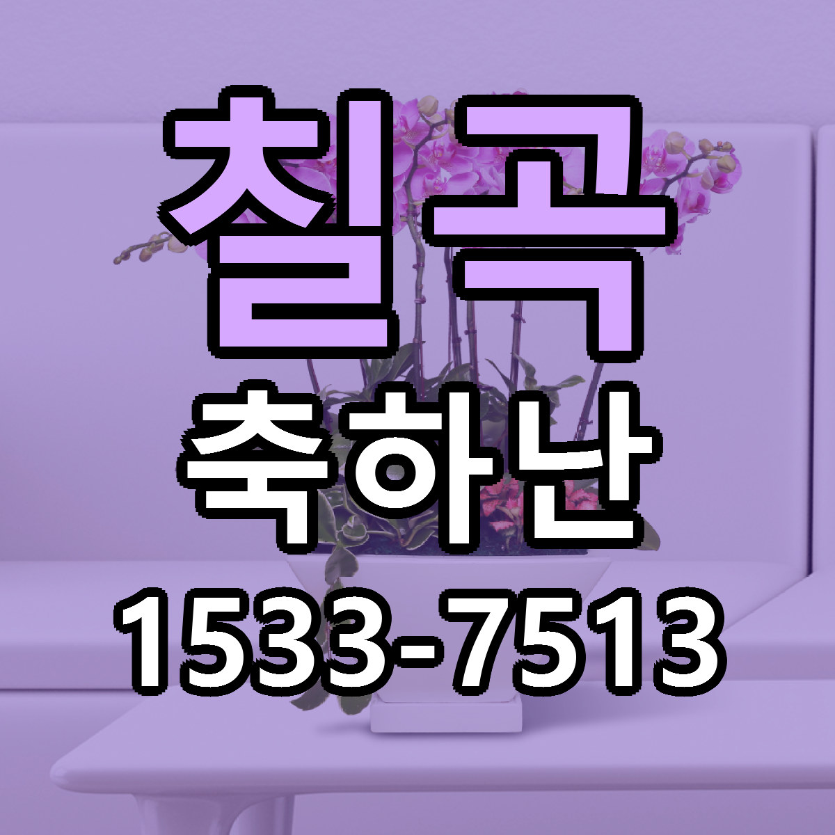 칠곡 축하난 당일배송 가격 저렴한곳 추천
