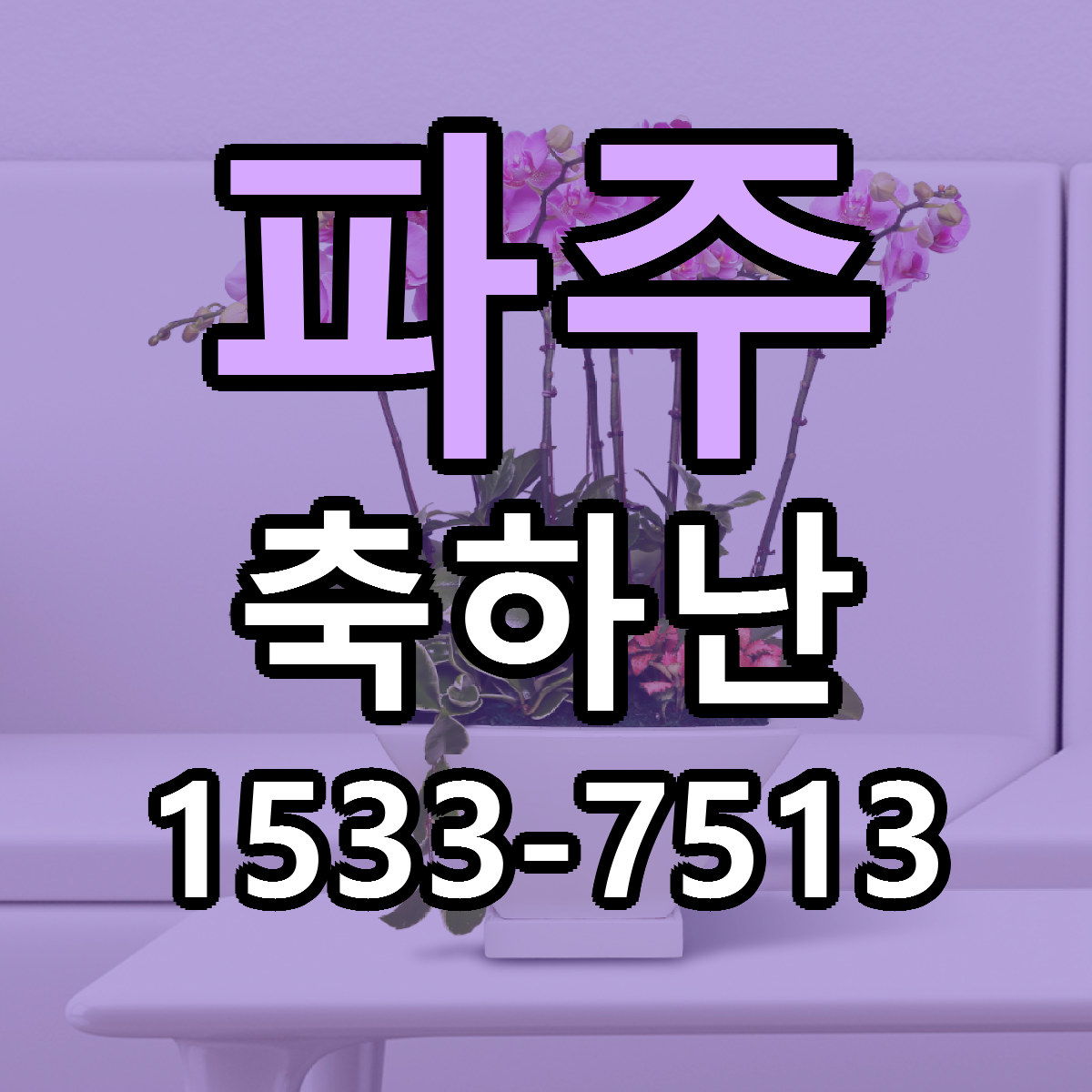 파주 축하난 빠른배송 근처꽃집 가격 비교