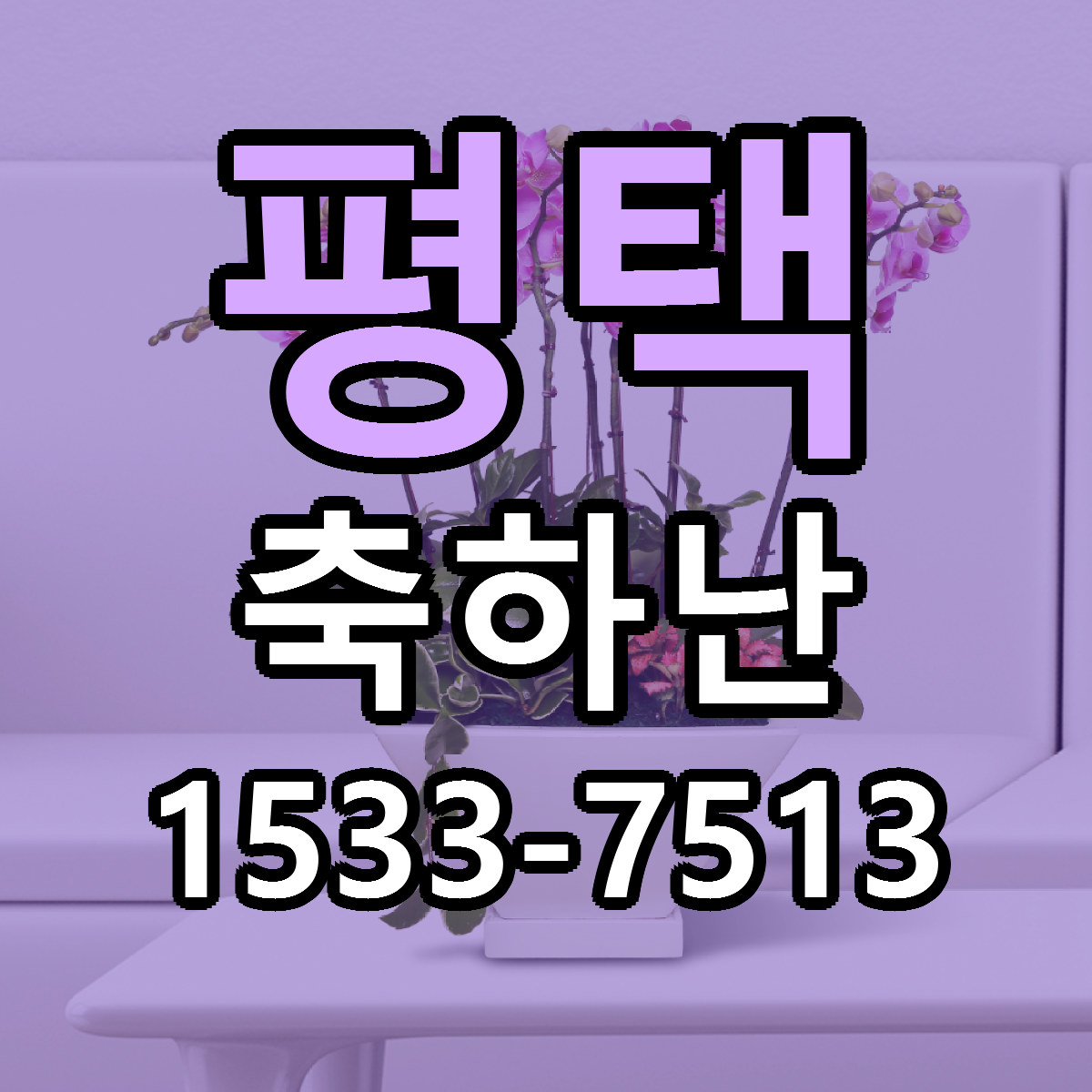 평택 축하난 빠른배송 근처꽃집 가격 비교