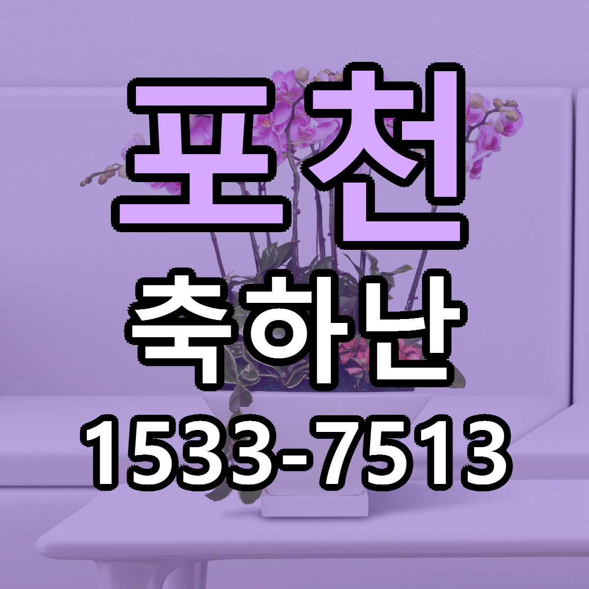 포천 축하난 가격 만족 저렴한곳 리본문구 작성