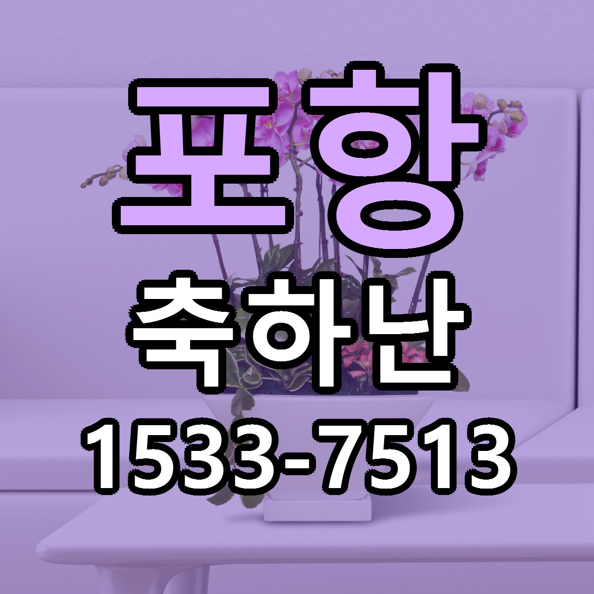 포항 축하난 당일배송 리본문구 싼곳 찾기