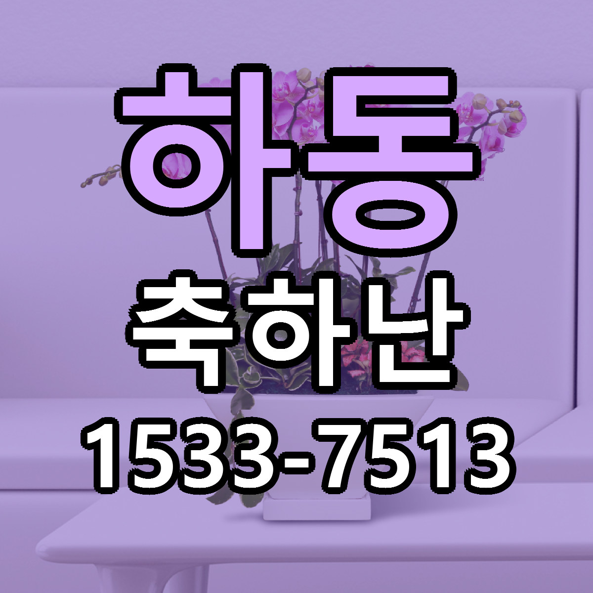 하동 축하난 당일배송 리본문구 빠른배송 서비스