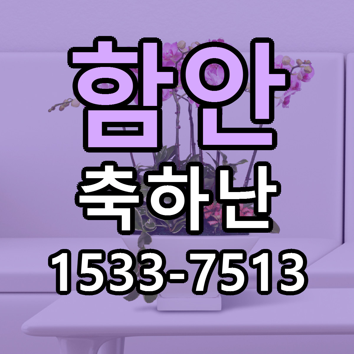 함안 축하난 빠른배송 근처꽃집 가격 비교