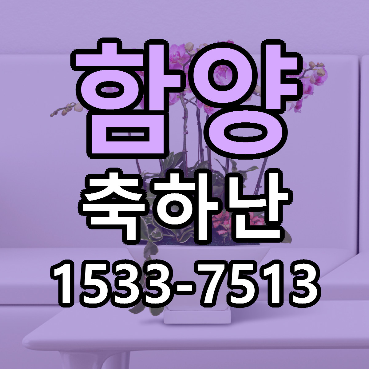 함양 축하난 가격 착한 싼곳 당일배송 안내