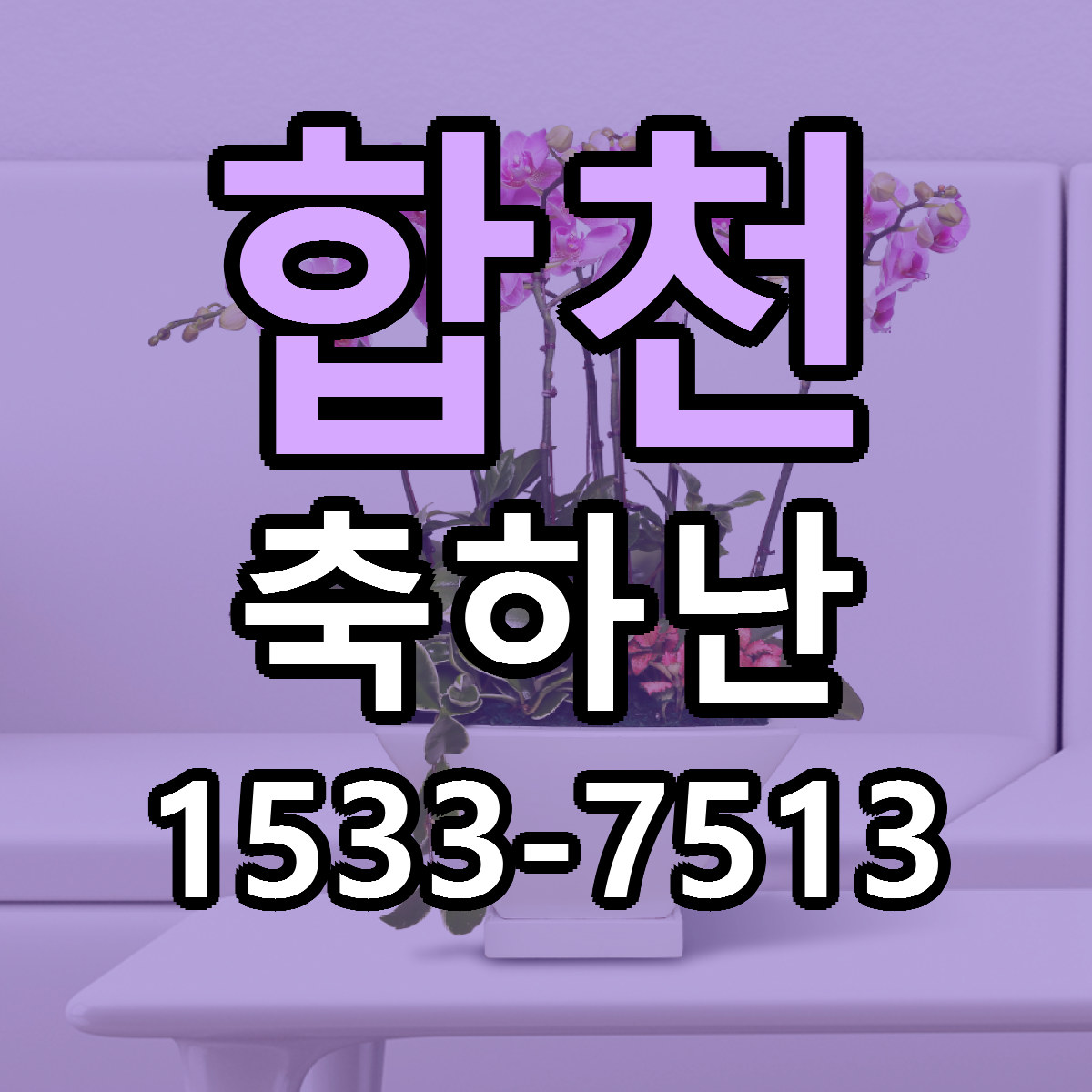 합천 축하난 근처꽃집 당일배송 가격 안내
