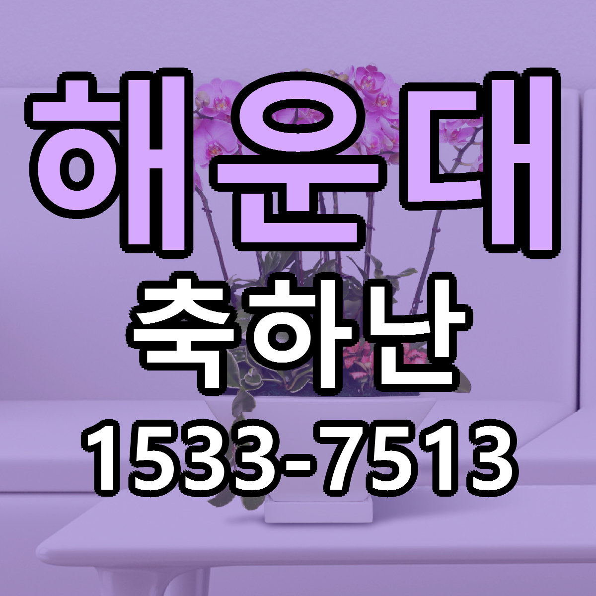 해운대 축하난 근처꽃집 저렴한곳 빠른배송 서비스
