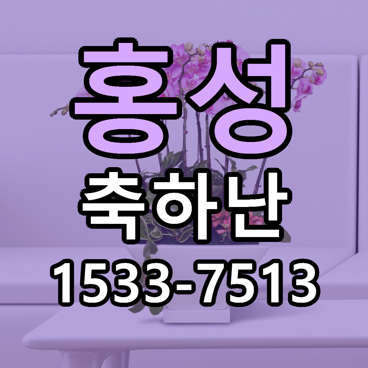홍성 축하난 근처꽃집 가격 저렴한곳 안내