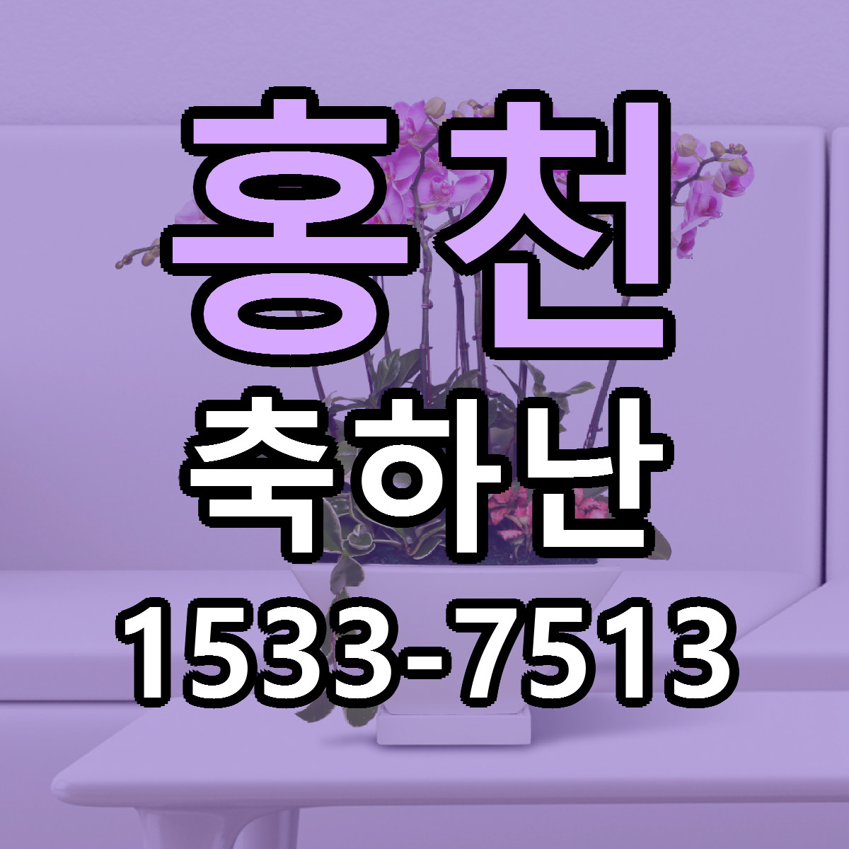 홍천 축하난 근처꽃집 당일배송 리본문구 서비스