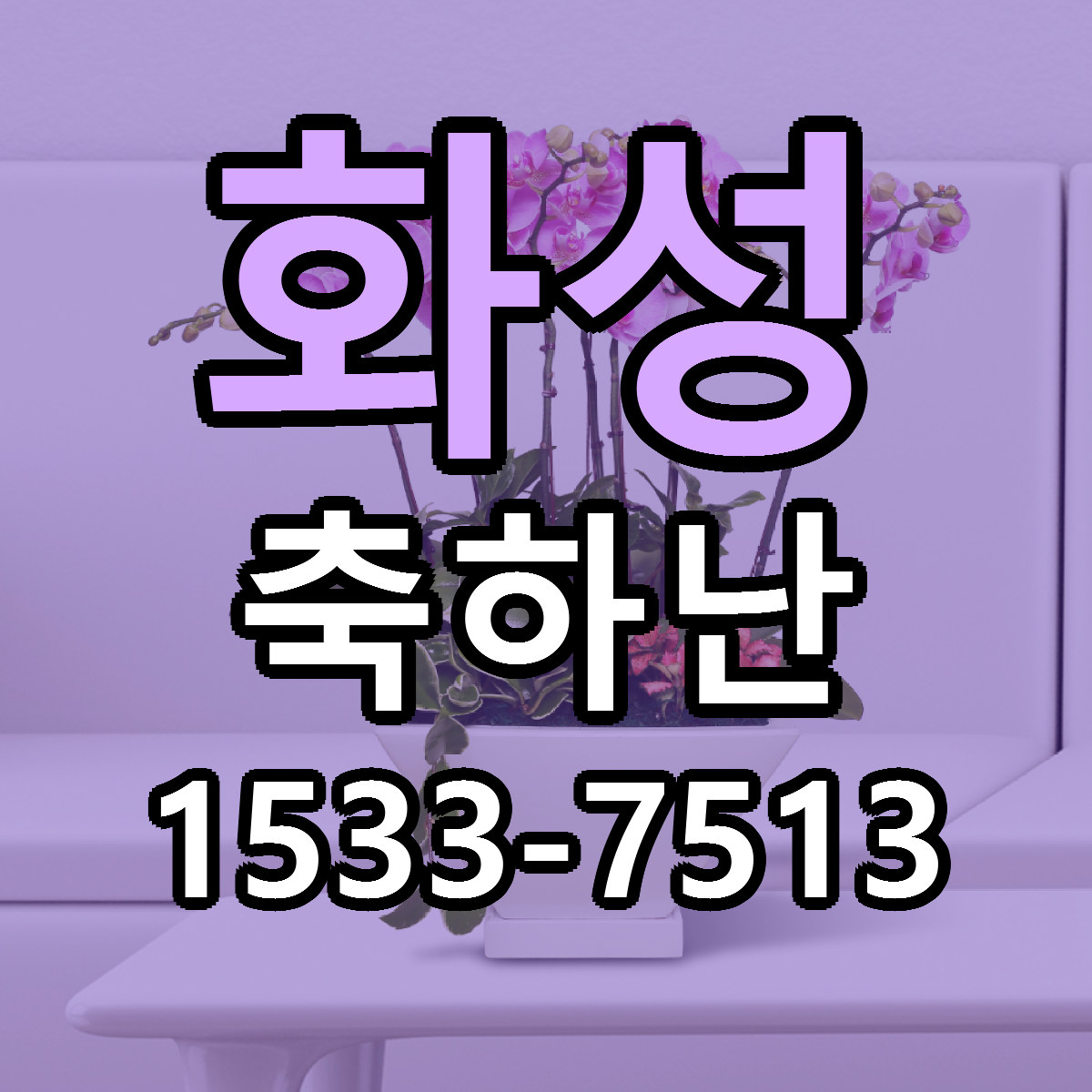 화성 축하난 당일배송 저렴한곳 리본문구 추천