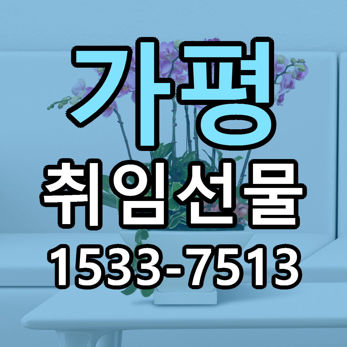 가평 취임선물 리본문구 싼곳 빠른배송 예약