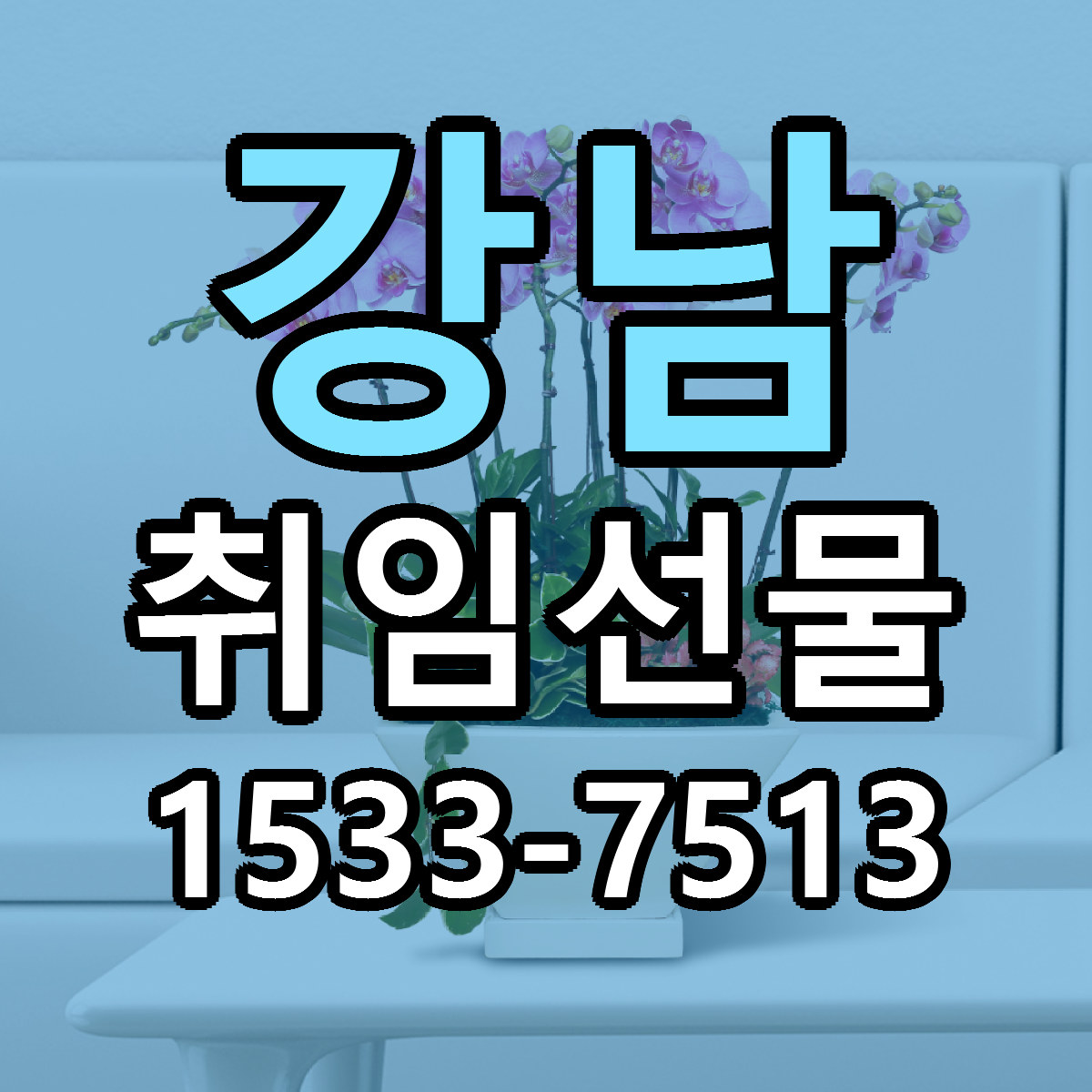 강남 취임선물 리본문구 싼곳 빠른배송 예약