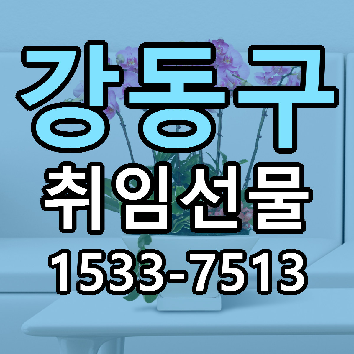 강동구 취임선물 당일배송 빠른배송 싼곳 찾기