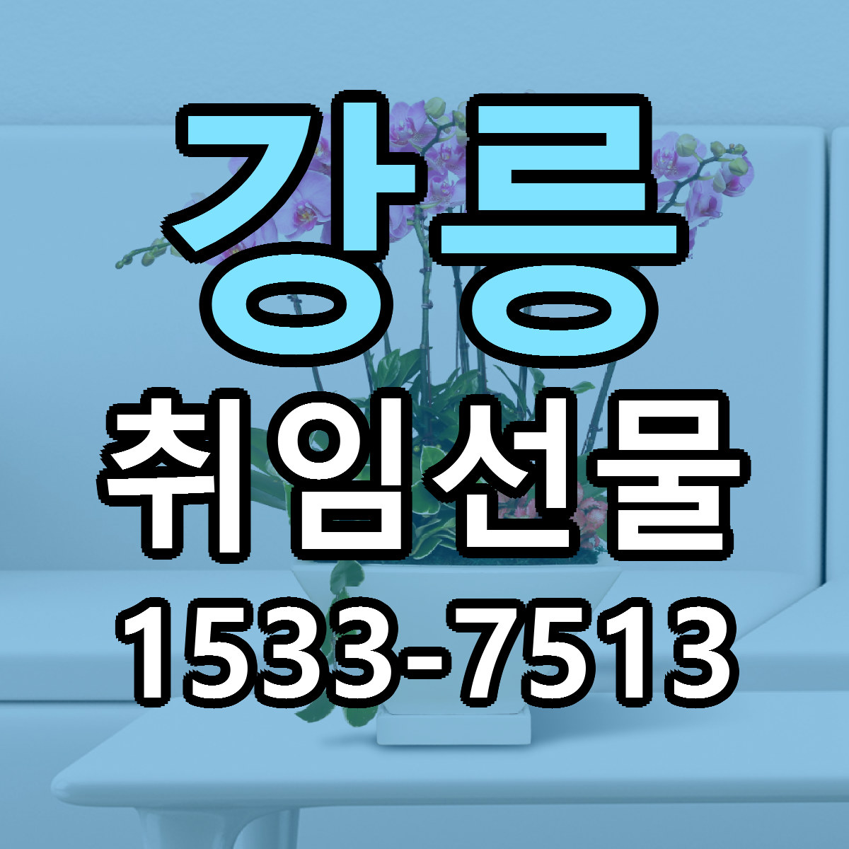 강릉 취임선물 당일배송 빠른배송 싼곳 찾기