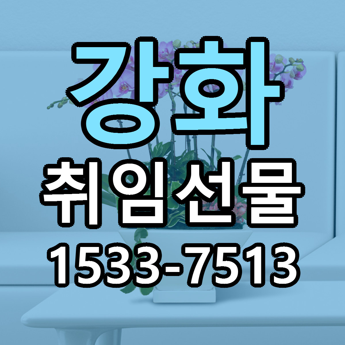 강화 취임선물 빠른배송 근처꽃집 가격 비교