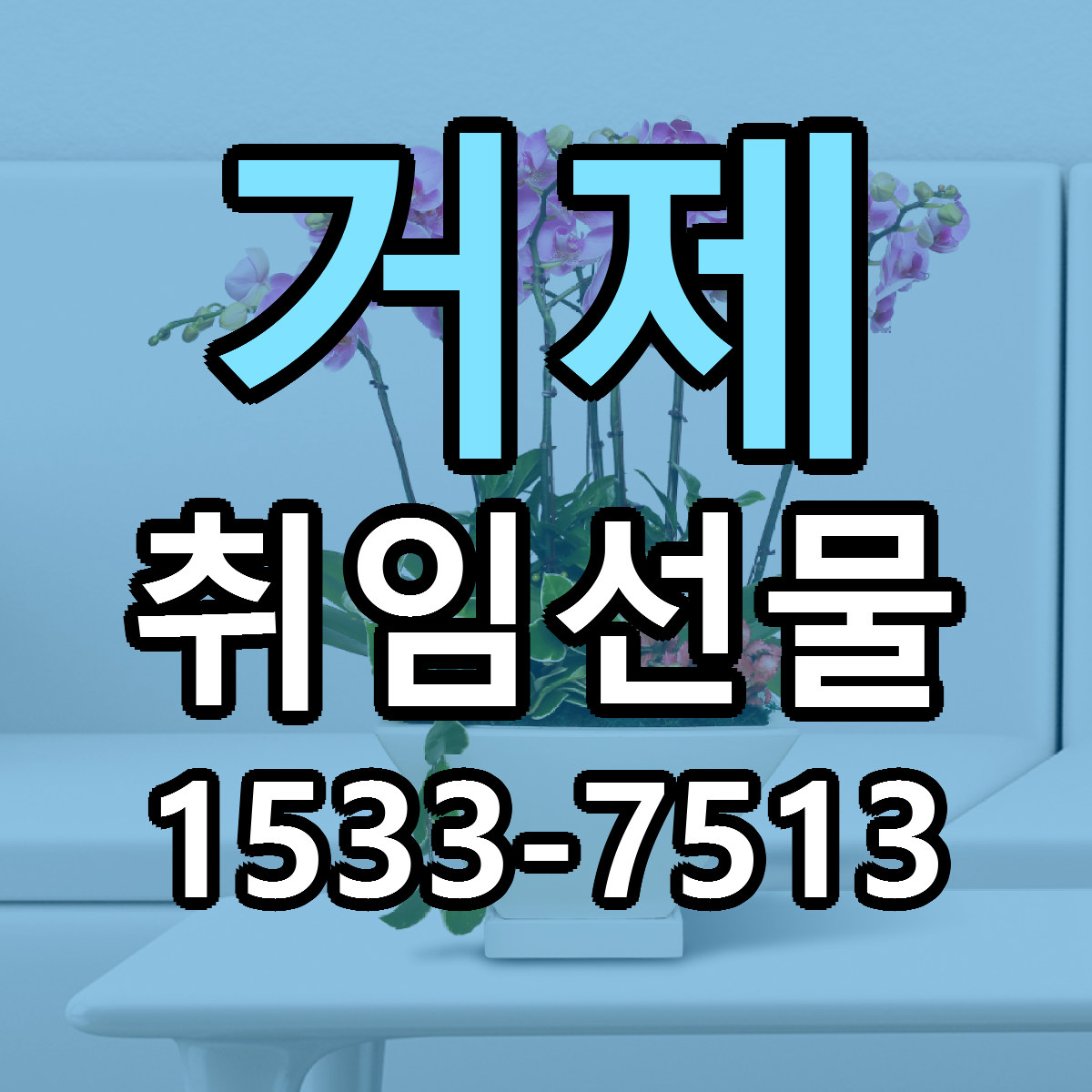 거제 취임선물 당일배송 리본문구 빠른배송 서비스