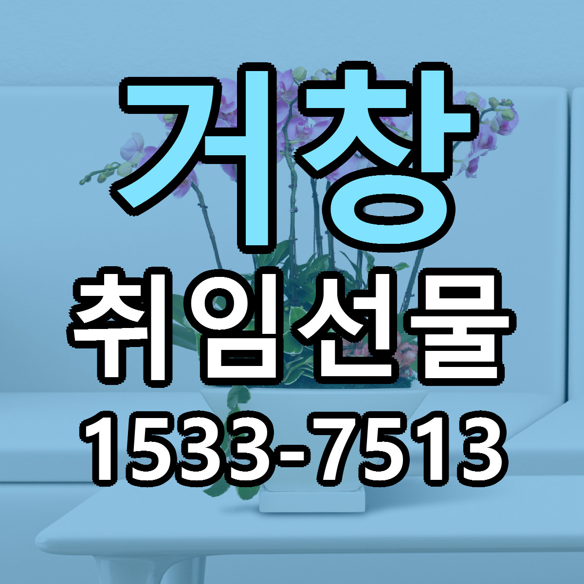 거창 취임선물 빠른배송 리본문구 가격 알뜰 비교