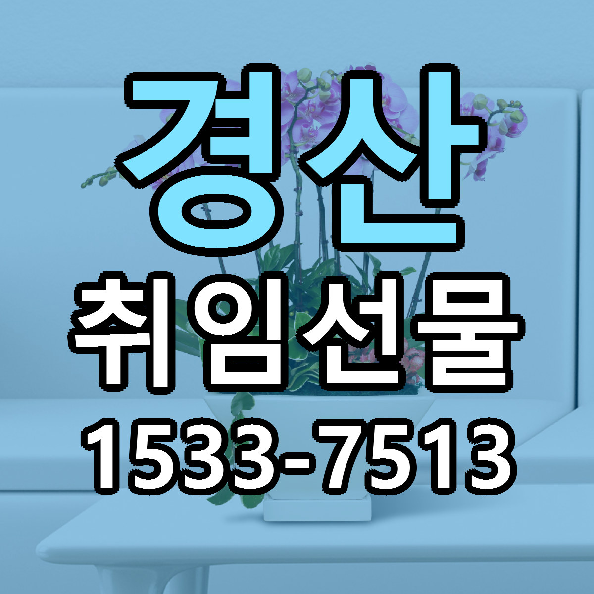 경산 취임선물 빠른배송 리본문구 가격 알뜰 비교