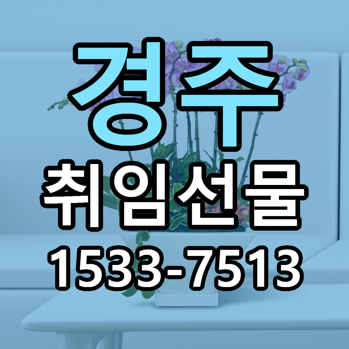 경주 취임선물 싼곳 빠른배송 리본문구 무료