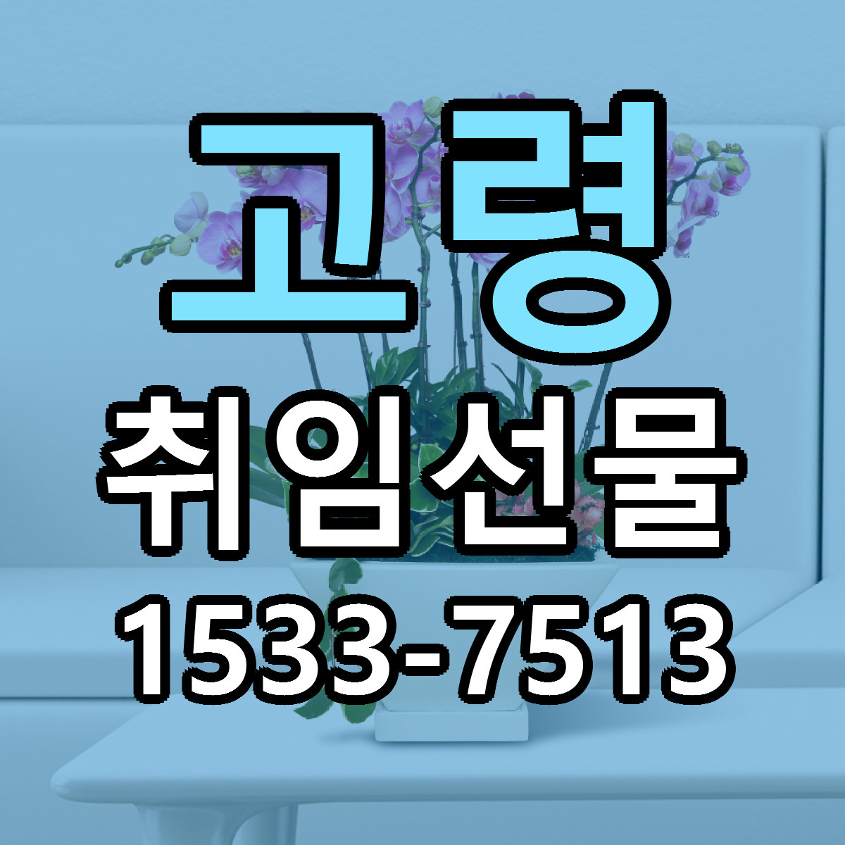 고령 취임선물 가격 만족 저렴한곳 리본문구 작성