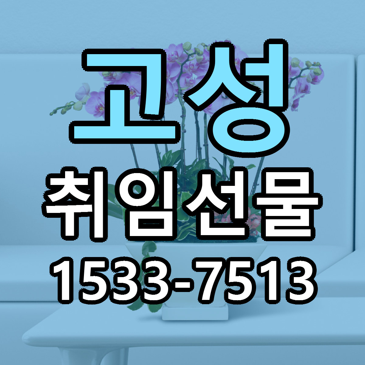 고성 취임선물 가격 만족 저렴한곳 리본문구 작성