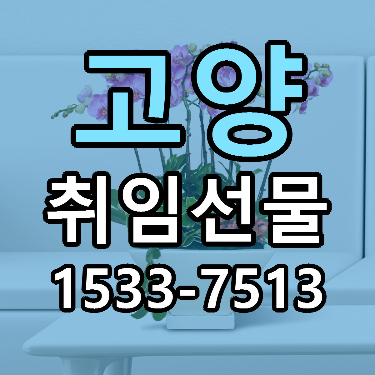 고양 취임선물 싼곳 빠른배송 리본문구 무료
