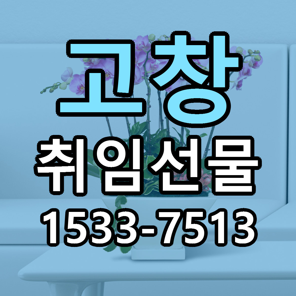 고창 취임선물 빠른배송 저렴한곳 가격 정리