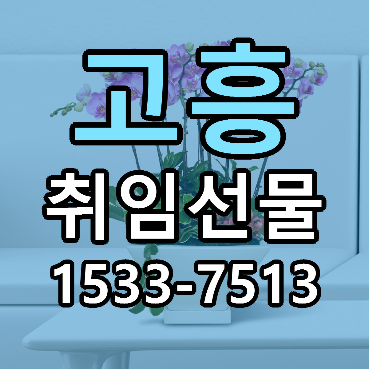 고흥 취임선물 리본문구 근처꽃집 저렴한곳 예약