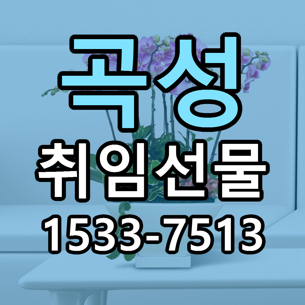곡성 취임선물 근처꽃집 당일배송 싼곳 추천