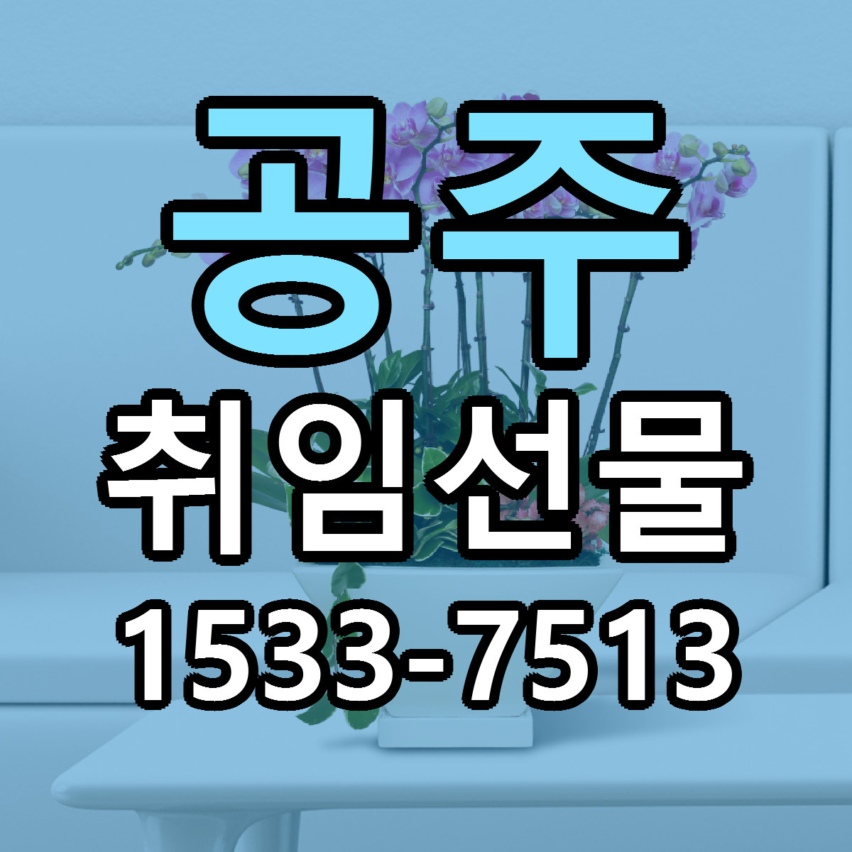 공주 취임선물 근처꽃집 빠른배송 가격 문의