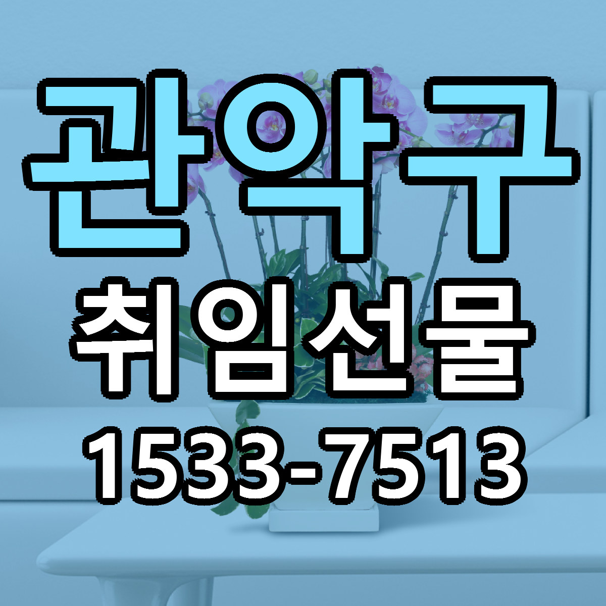 관악구 취임선물 싼곳 빠른배송 리본문구 무료