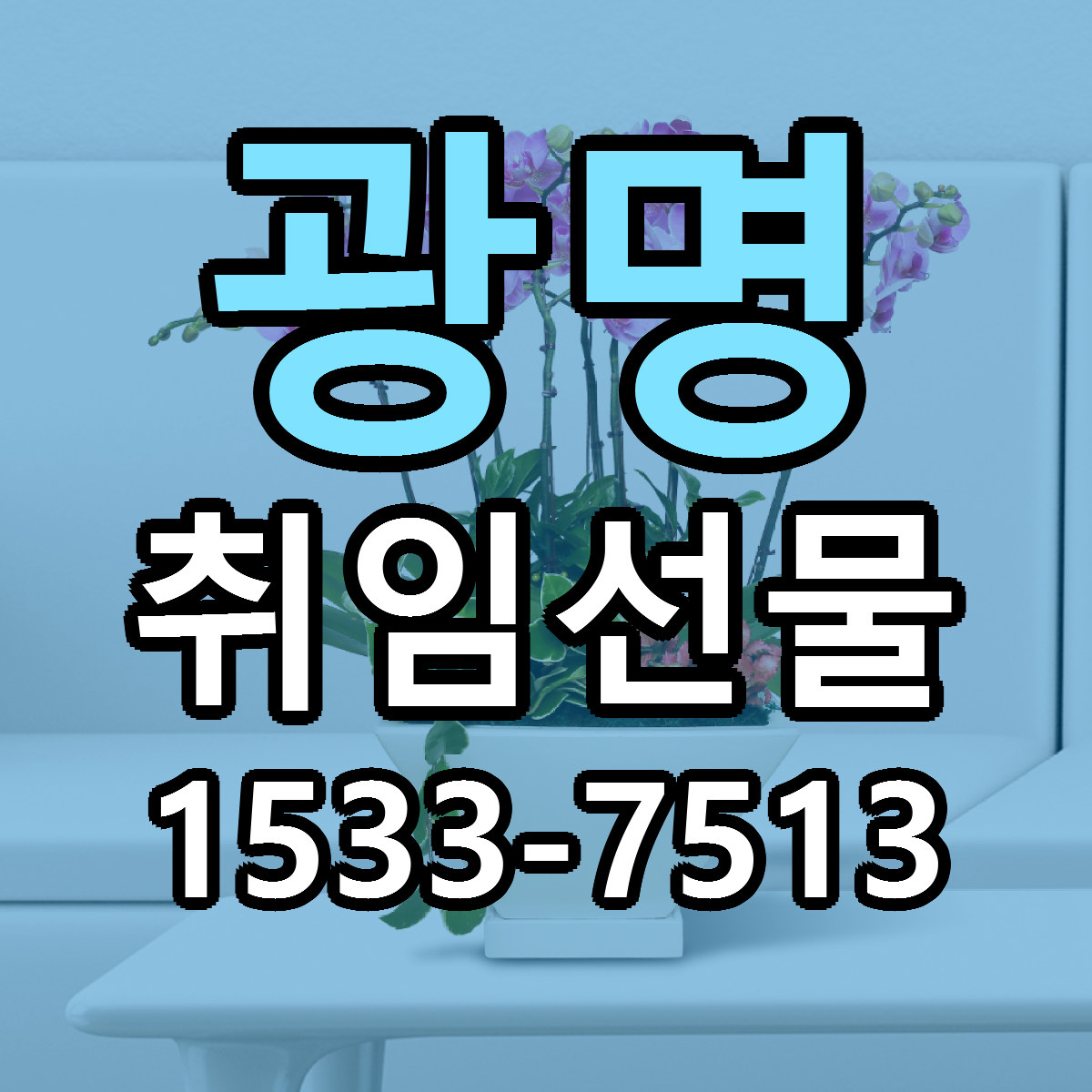 광명 취임선물 당일배송 리본문구 싼곳 찾기