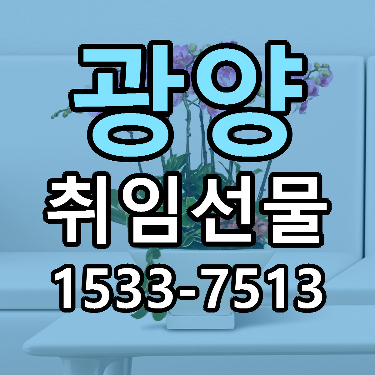 광양 취임선물 당일배송 빠른배송 싼곳 찾기