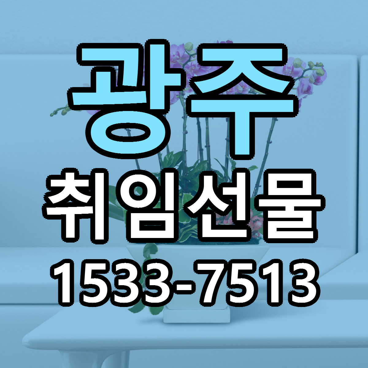광주 취임선물 빠른배송 근처꽃집 가격 비교