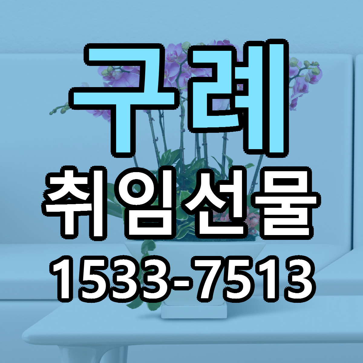 구례 취임선물 저렴한곳 당일배송 가격 만족