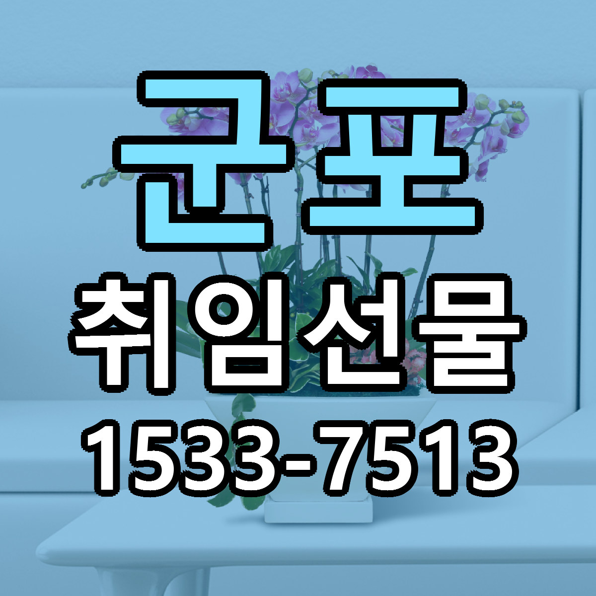 군포 취임선물 가격 착한 싼곳 당일배송 안내