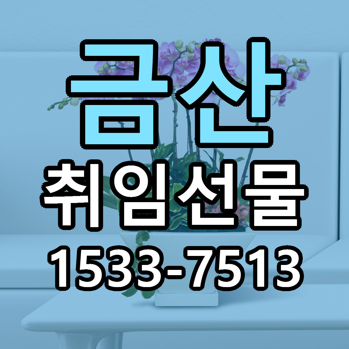 금산 취임선물 근처꽃집 당일배송 싼곳 추천