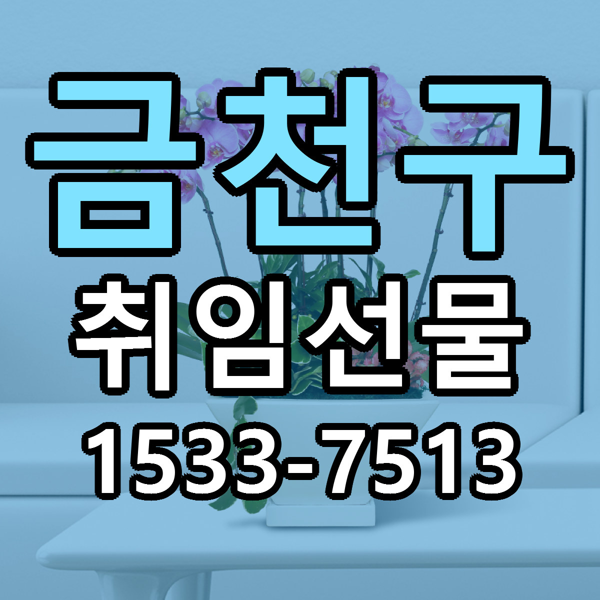 금천구 취임선물 근처꽃집 당일배송 싼곳 추천