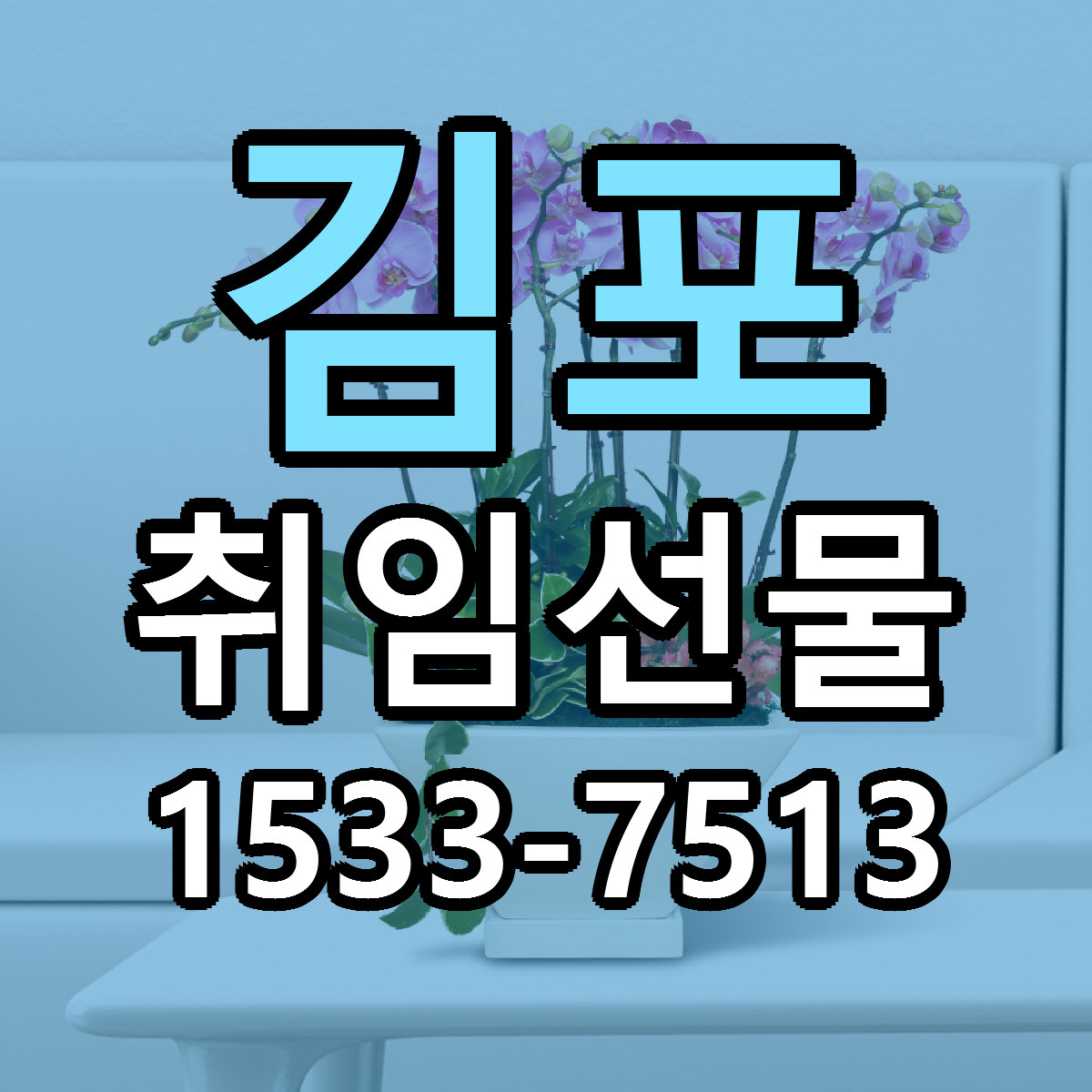 김포 취임선물 당일배송 빠른배송 싼곳 찾기