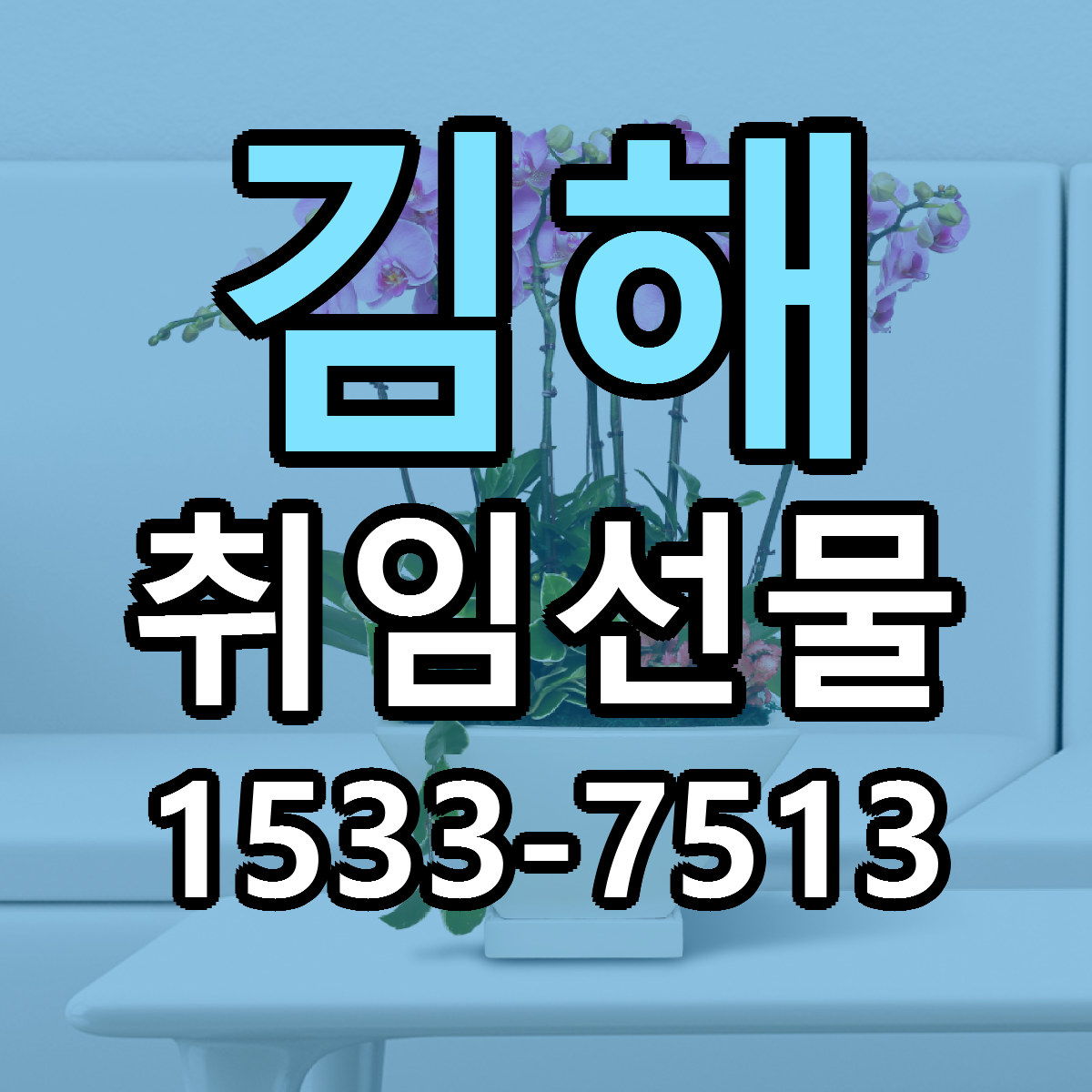 김해 취임선물 근처꽃집 당일배송 싼곳 추천