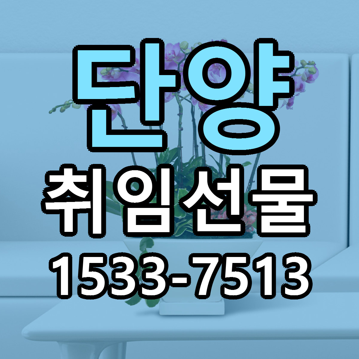 단양 취임선물 빠른배송 리본문구 근처꽃집 예약