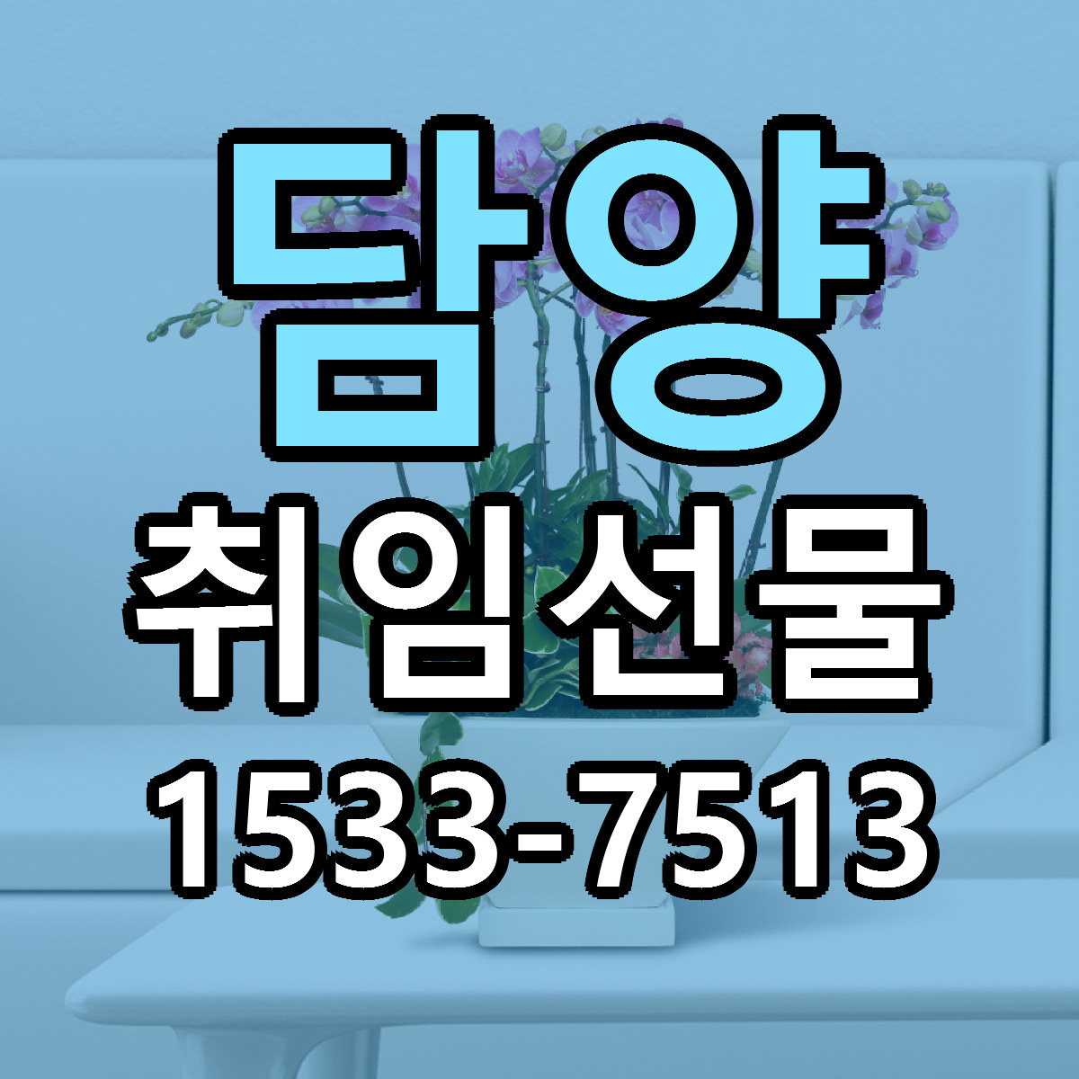 담양 취임선물 근처꽃집 가격 저렴한곳 안내