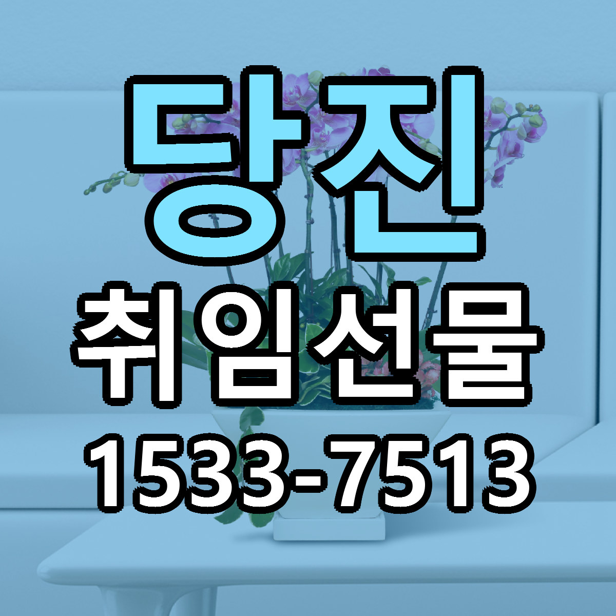 당진 취임선물 근처꽃집 가격 저렴한곳 안내