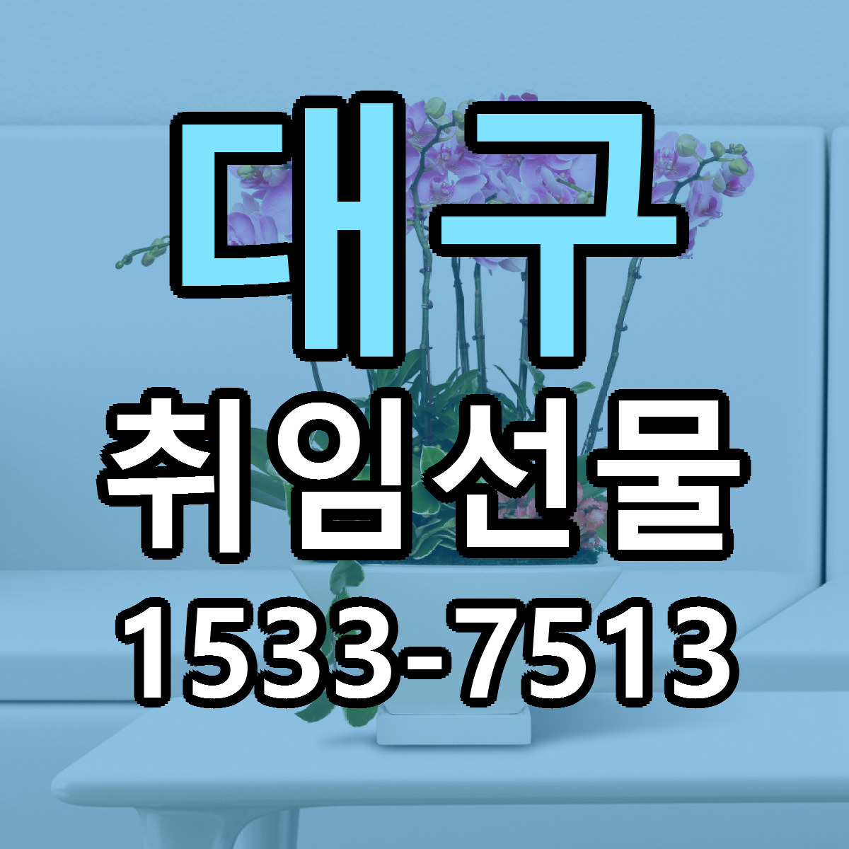 대구 취임선물 저렴한곳 당일배송 근처꽃집 추천