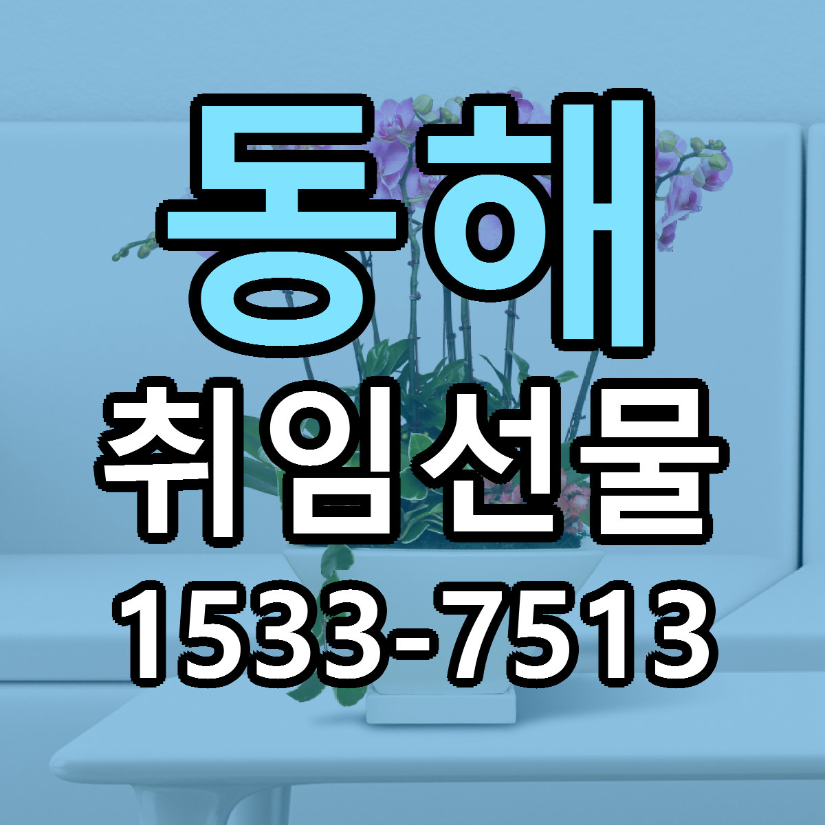 동해 취임선물 빠른배송 리본문구 근처꽃집 예약
