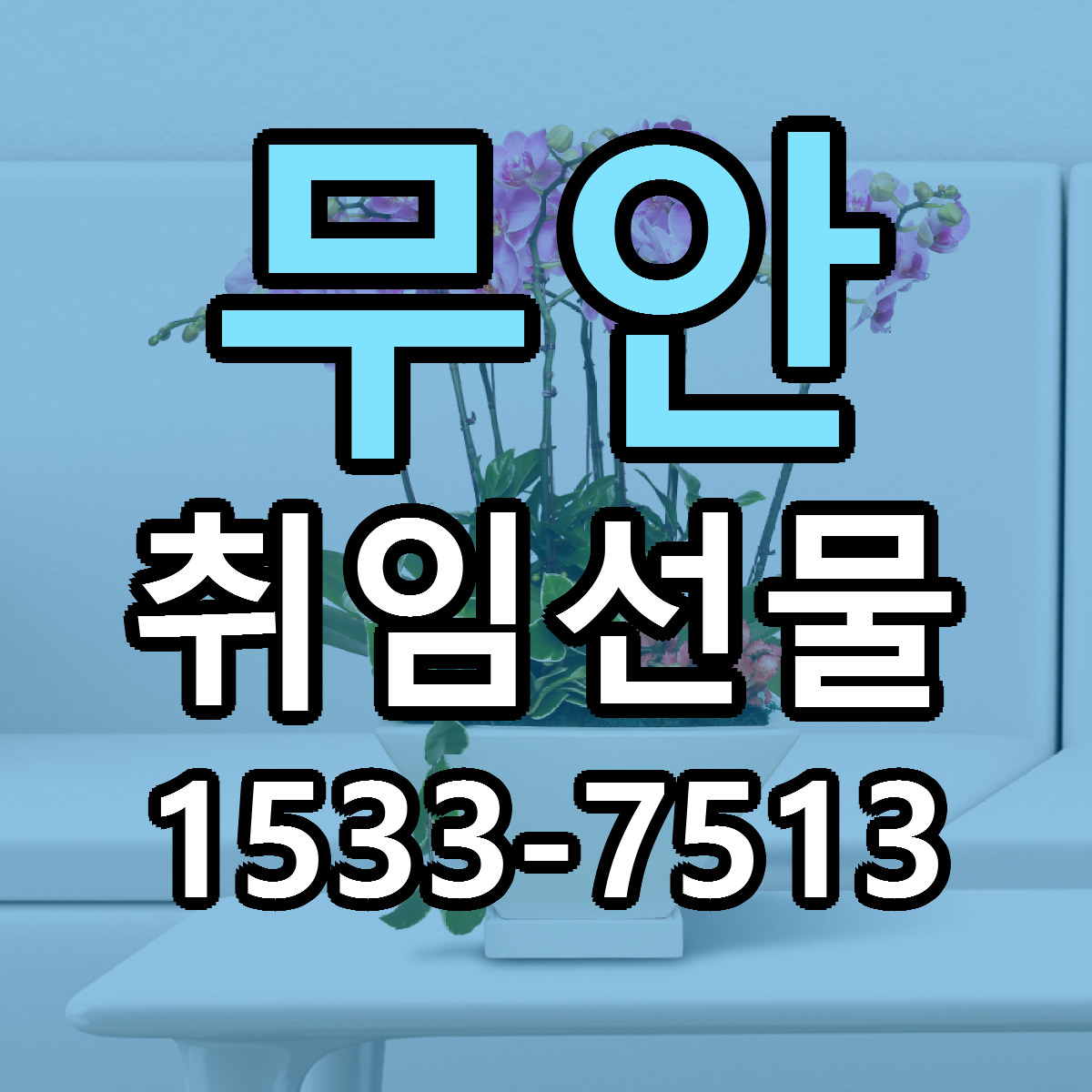 무안 취임선물 저렴한곳 당일배송 가격 만족