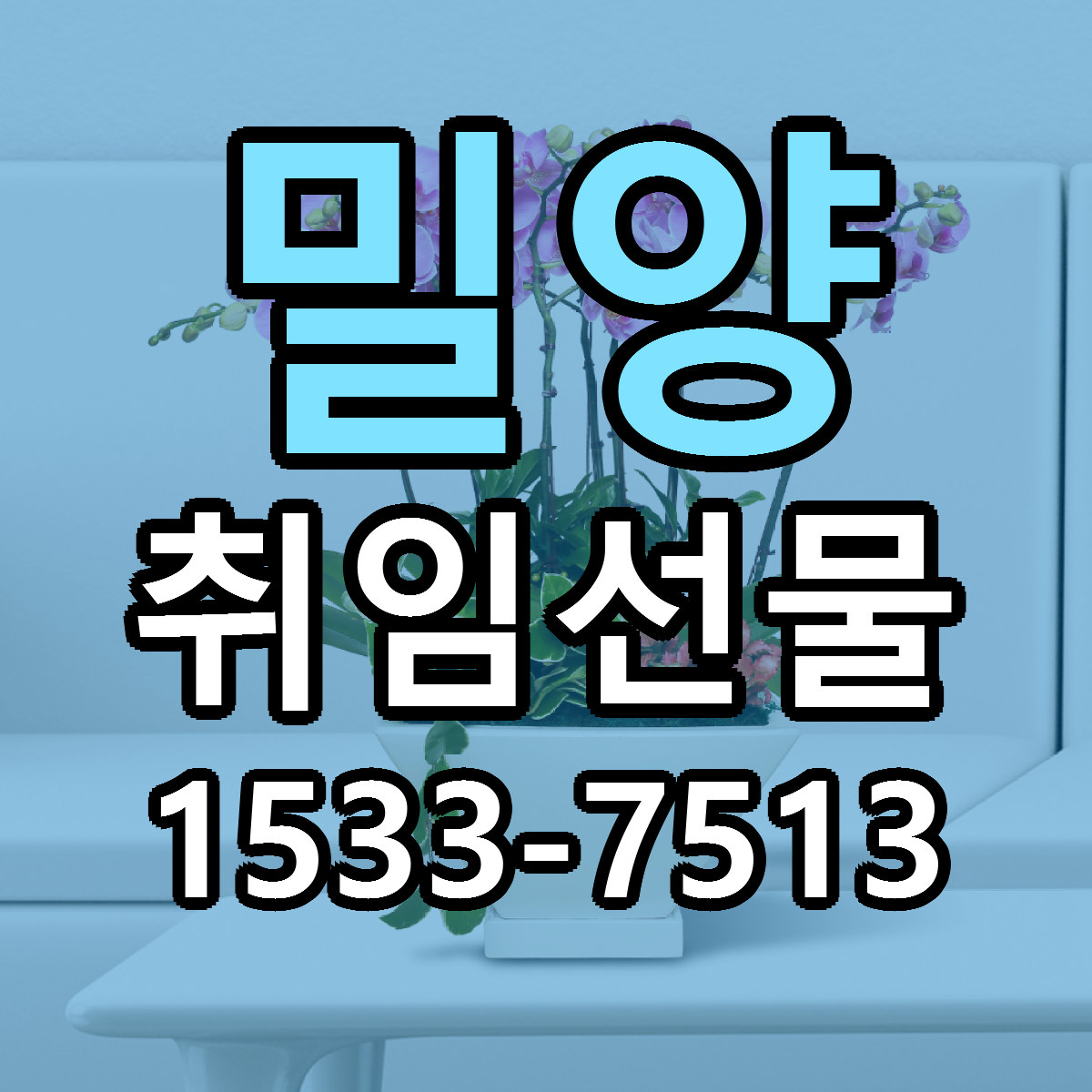 밀양 취임선물 근처꽃집 저렴한곳 빠른배송 서비스