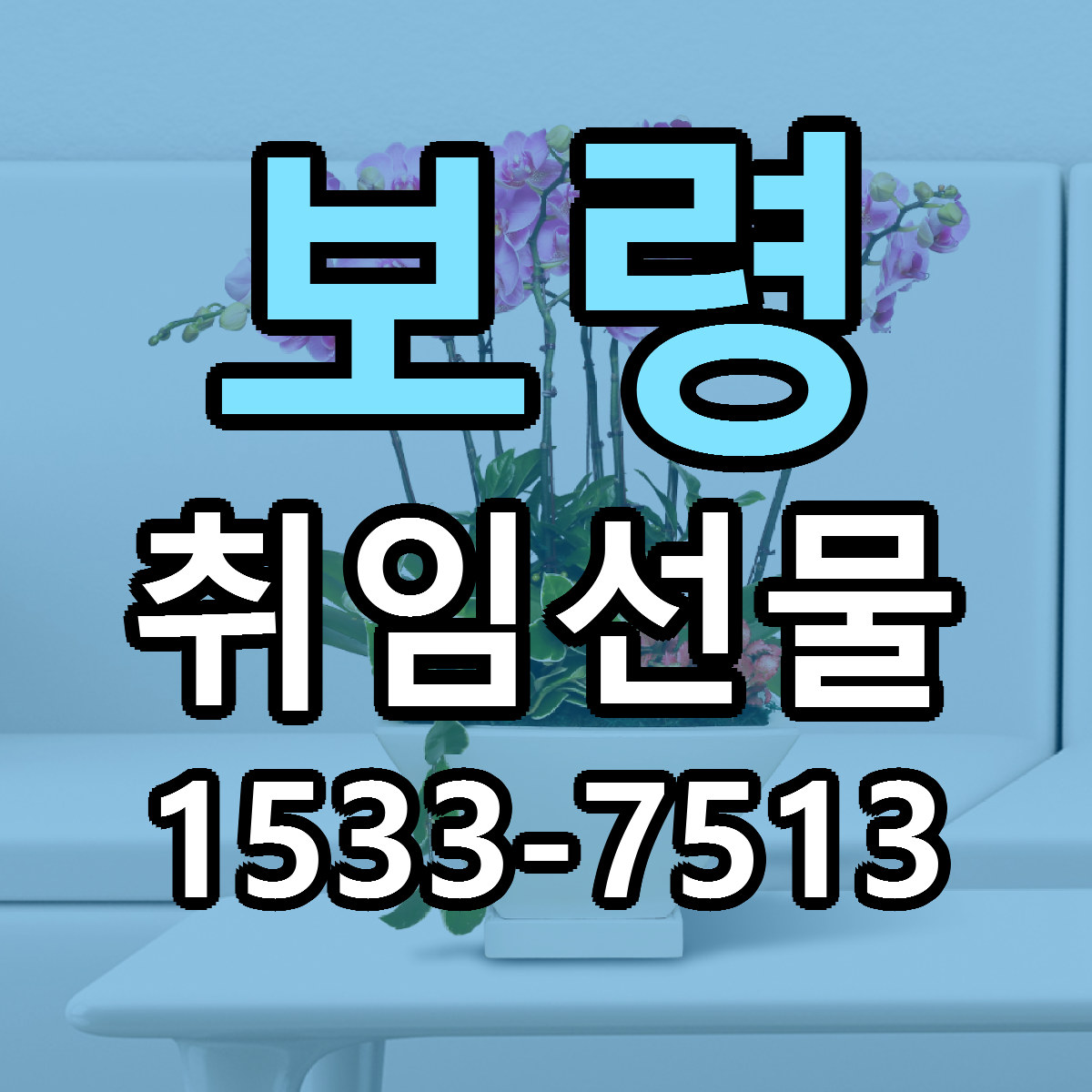 보령 취임선물 빠른배송 싼곳 가격 문의