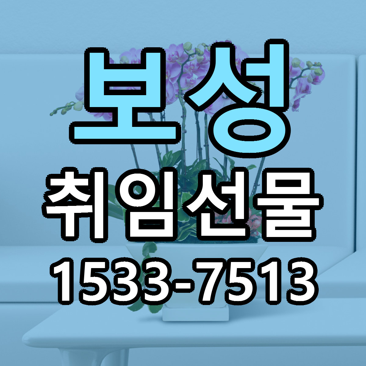 보성 취임선물 빠른배송 싼곳 가격 문의